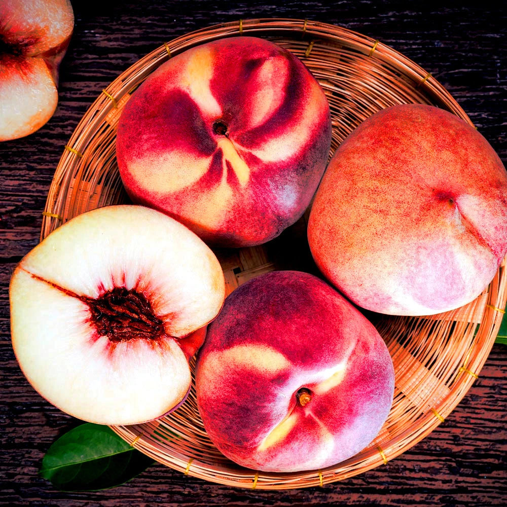 Peach Tree Seeds Dwarf Loring NEMAGUARD (Prunus persica) Fast Hardy Fruit Plant