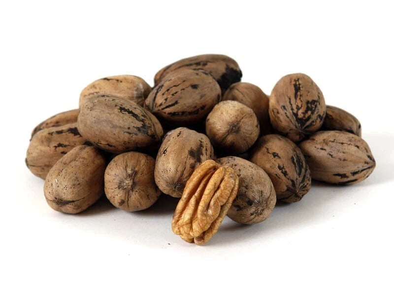 Pile of pecans on a white background