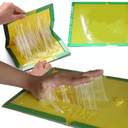 Non-Toxic Super Sticky Glue Traps for Mice, Mouse, Rats & Insects
