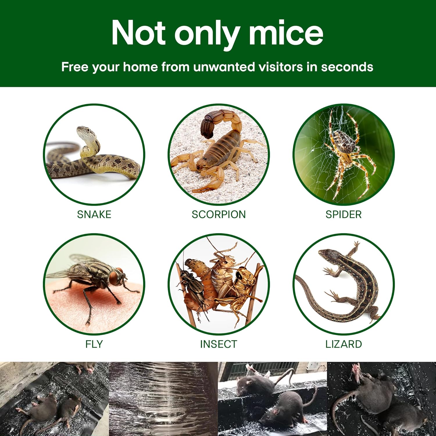 Large 47" *INDOOR* Glue Traps Non-Toxic Super Sticky for Mouse Mice Rats