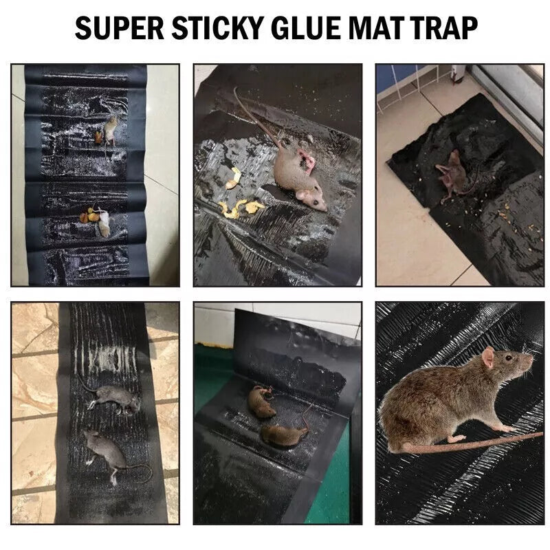 Large 47" *INDOOR* Glue Traps Non-Toxic Super Sticky for Mouse Mice Rats