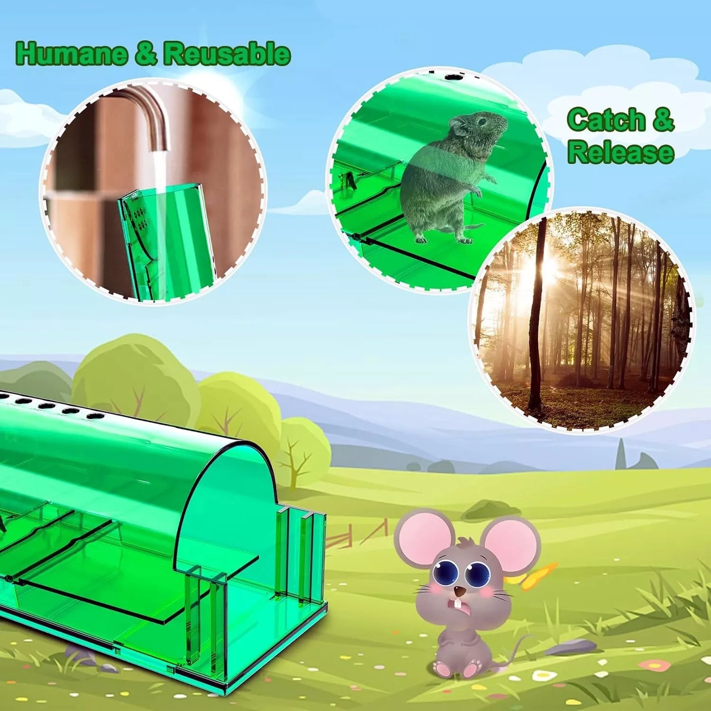 1, 2, 4, 6 Humane Mouse Traps Live Catch & Release No Kill Rat Mice Trap Reusable