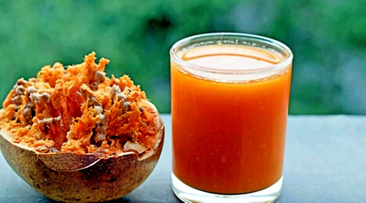 Bael Fruit Tree Seeds (Aegle marmelos) Bengal Quince Stone Apple Plant RARE!