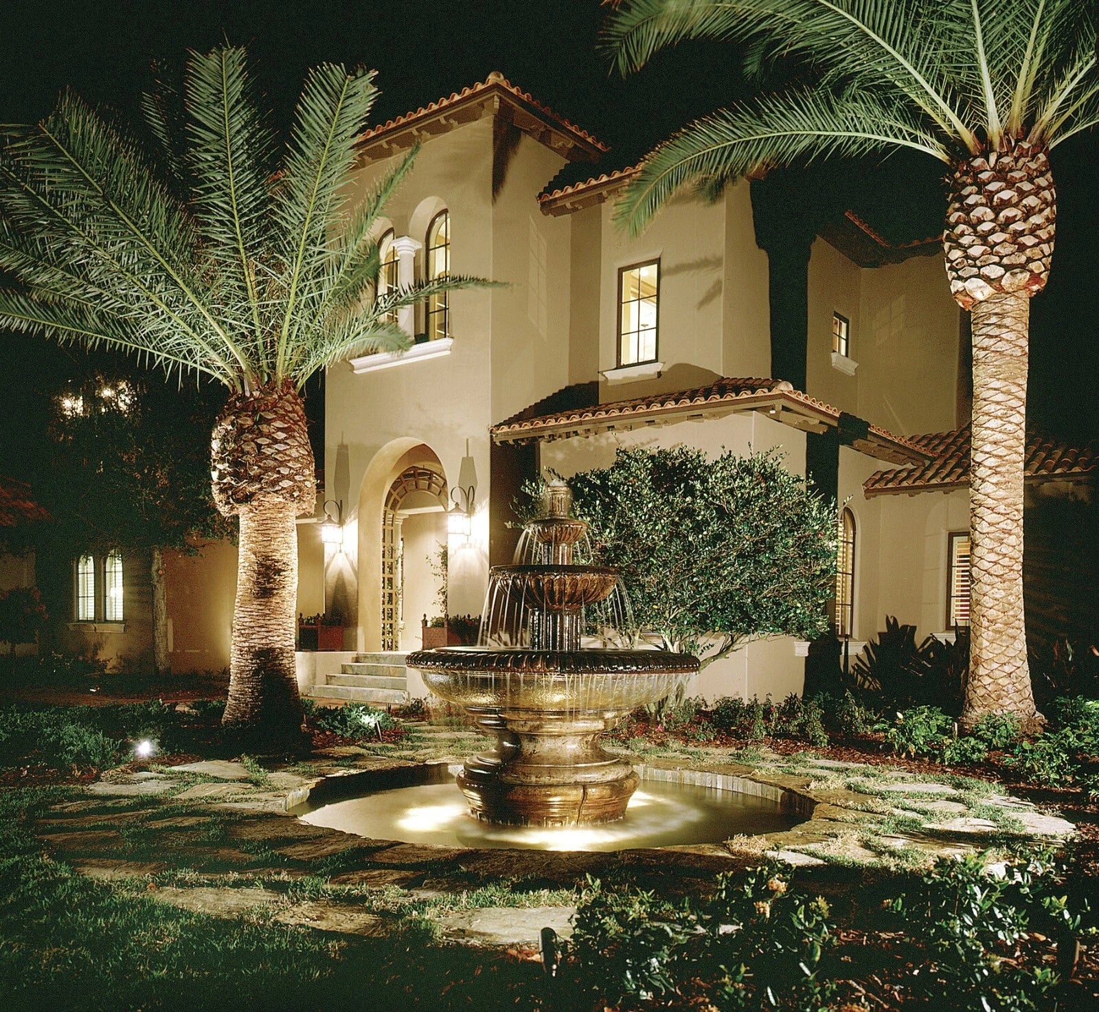 CANARY ISLAND DATE PALM Tree Seeds (Phoenix Canariensis) Hardy Fruit Plant