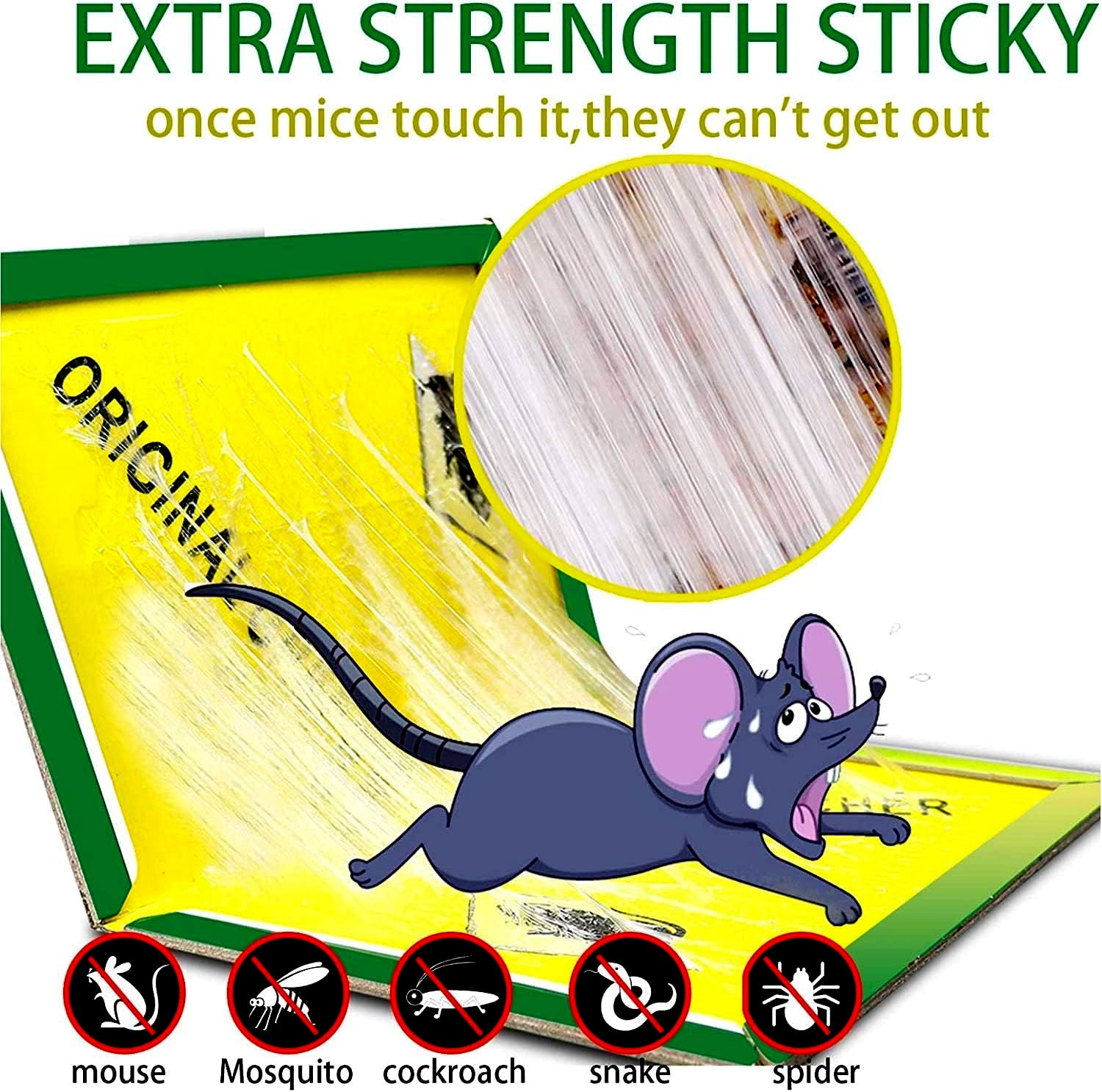 Non-Toxic Super Sticky Glue Traps for Mice, Mouse, Rats & Insects