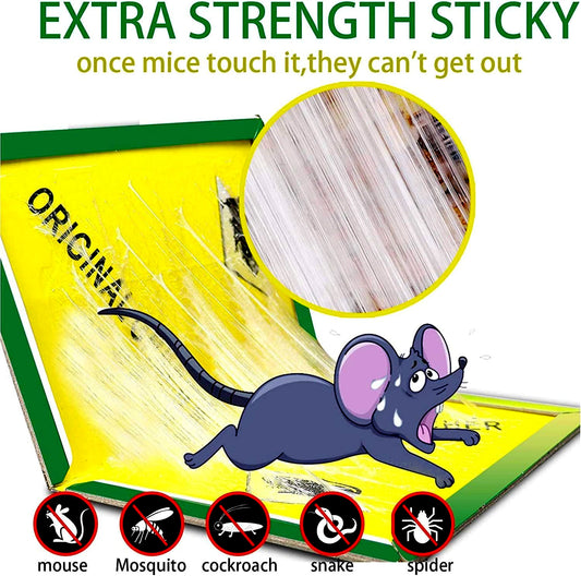 Non-Toxic Super Sticky Glue Traps for Mice, Mouse, Rats & Insects