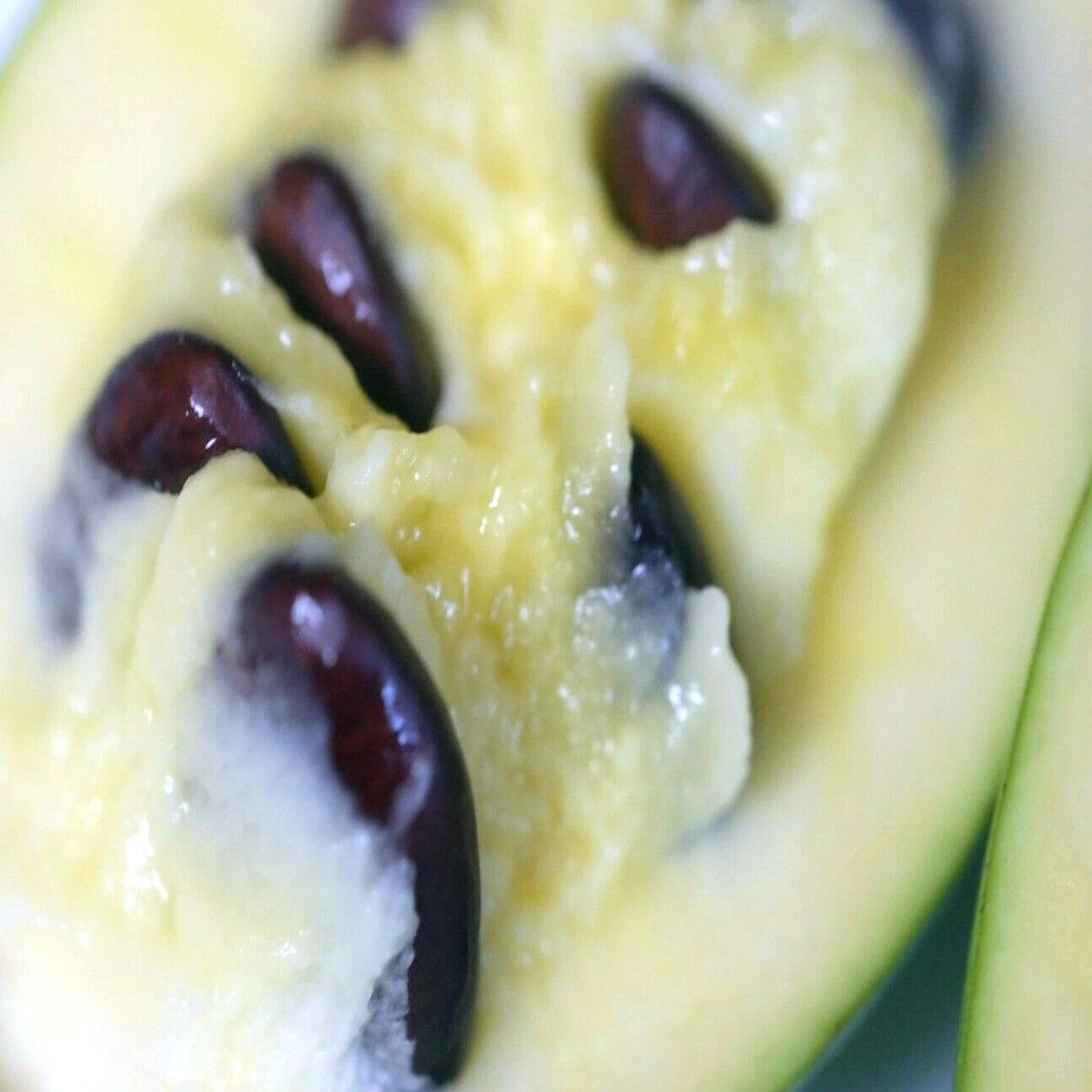 Close-up of a halved Pawpaw fruit with seeds inside