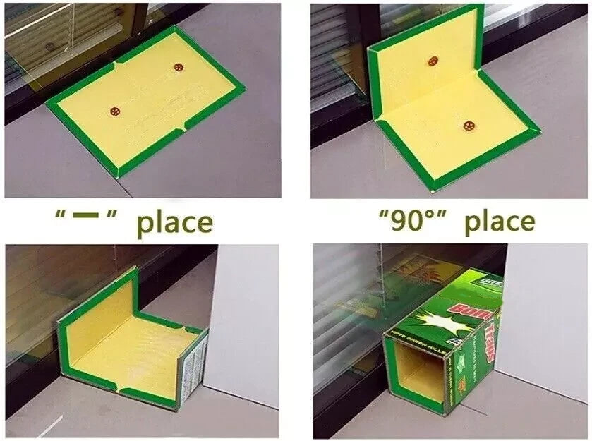Non-Toxic Super Sticky Glue Traps for Mice, Mouse, Rats & Insects