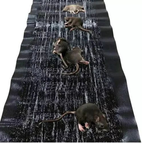 Large 47" *INDOOR* Glue Traps Non-Toxic Super Sticky for Mouse Mice Rats