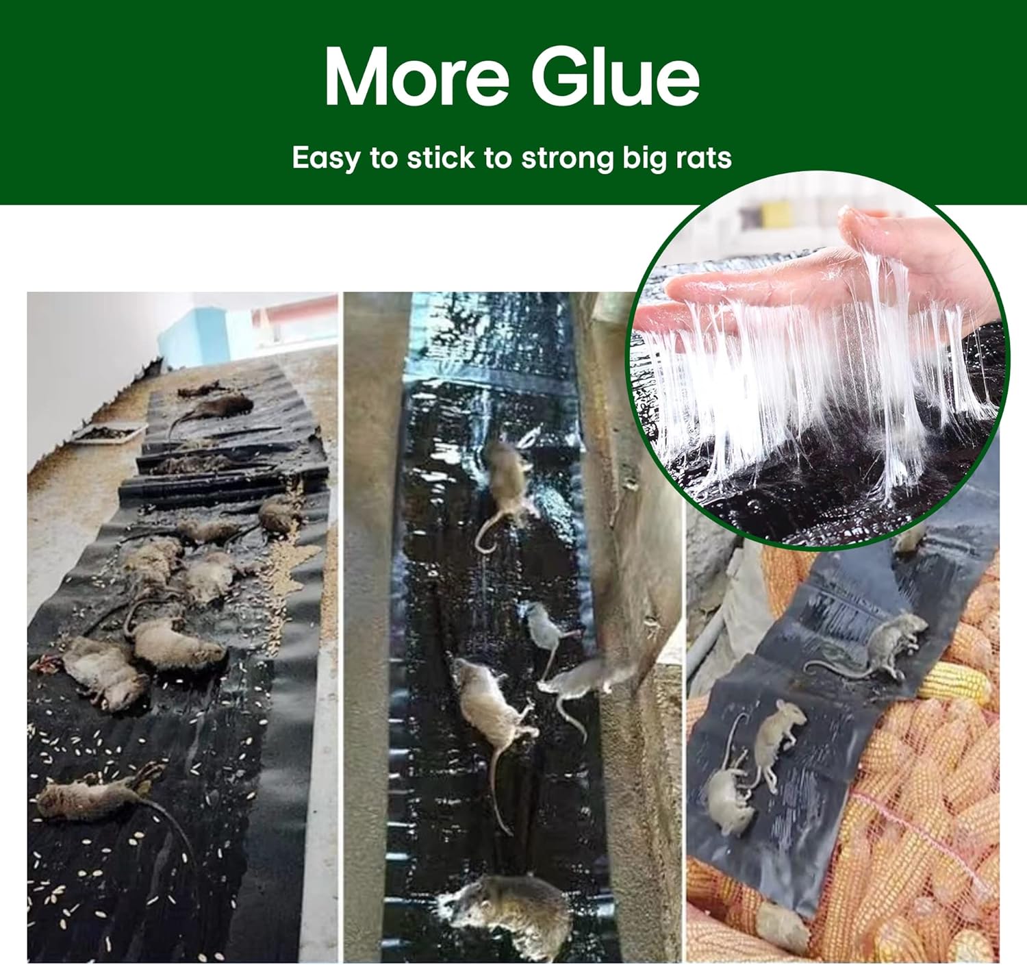 Large 47" *INDOOR* Glue Traps Non-Toxic Super Sticky for Mouse Mice Rats