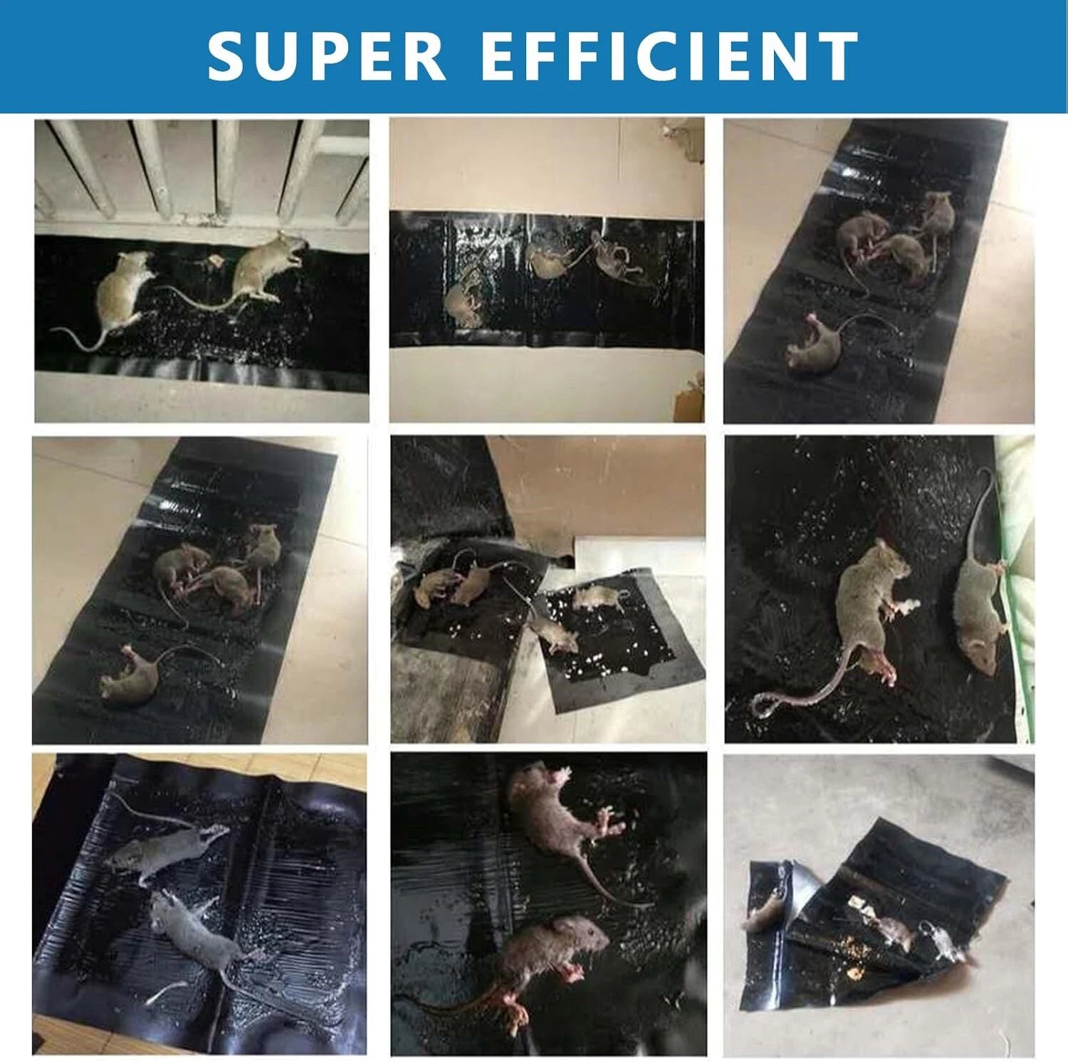 Large 47" *INDOOR* Glue Traps Non-Toxic Super Sticky for Mouse Mice Rats